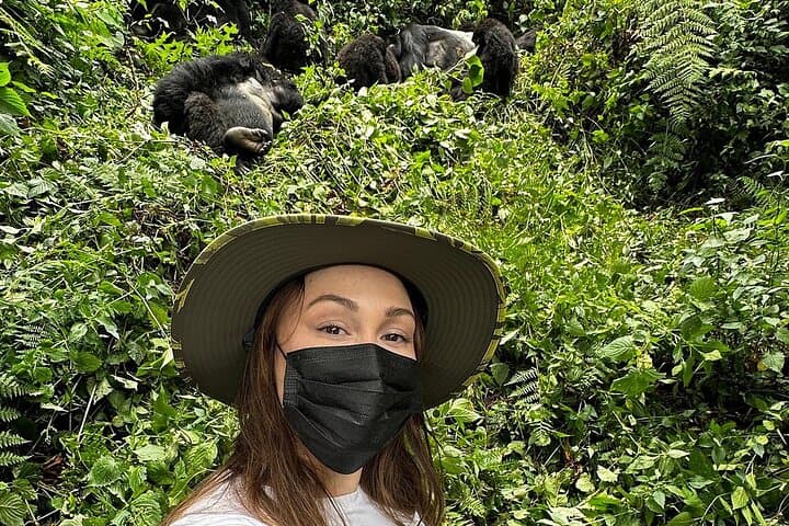 Private 4WD Gorilla Trek from Kigali to Volcanoes National Park