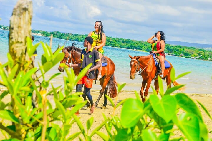 Montego Bay Horseback Riding and Swim Experience | Beach Horse Ride in Jamaica photo 4