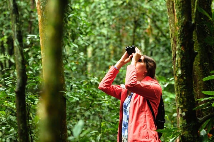 Maksimir Birdwalk & Zagreb Zoo: Relaxed Urban Wildlife Tour photo 4