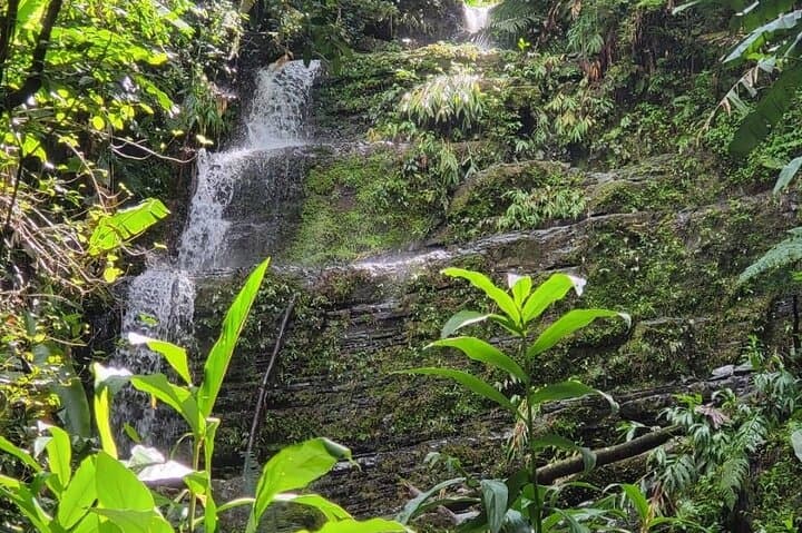Behind the Waterfall at Las Cascadas Delicias — Puerto Rico Rainforest Adventure photo 4