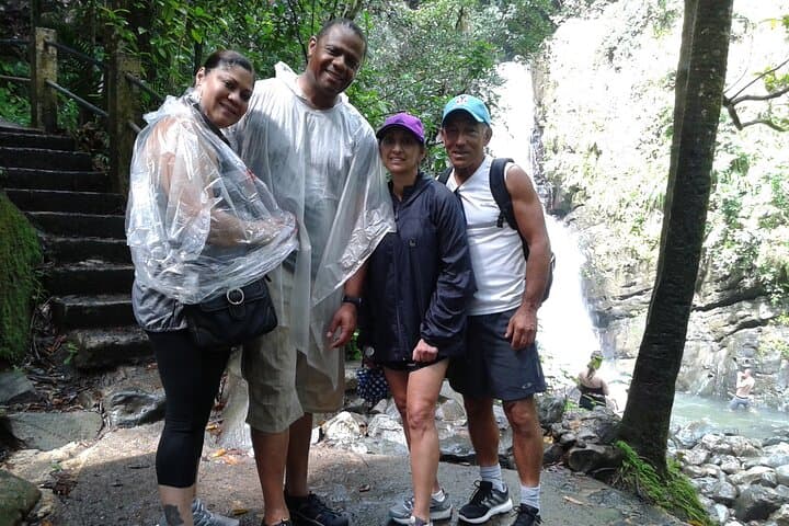 Private El Yunque Rainforest Waterfall Tour — Swim & Guided Hike photo 4
