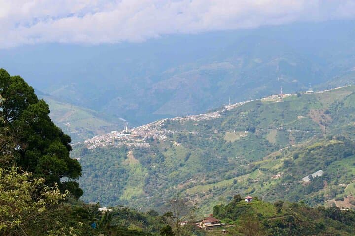 Paragliding Apia: Soar Above Coffee Country in the Western Andes photo 4