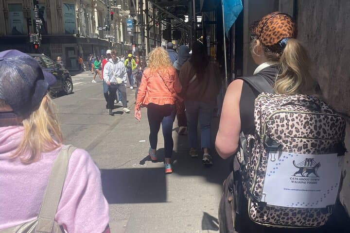 Wall Street's Secret Guardians: Historical Cat Tales Walking Tour in NYC