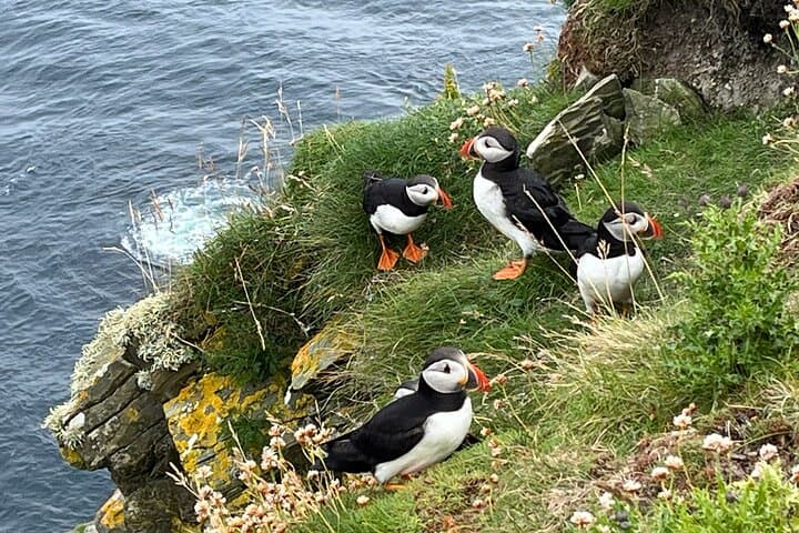 Shetland South Mainland Tour: St Ninian's Isle, Jarlshof & Sumburgh Head