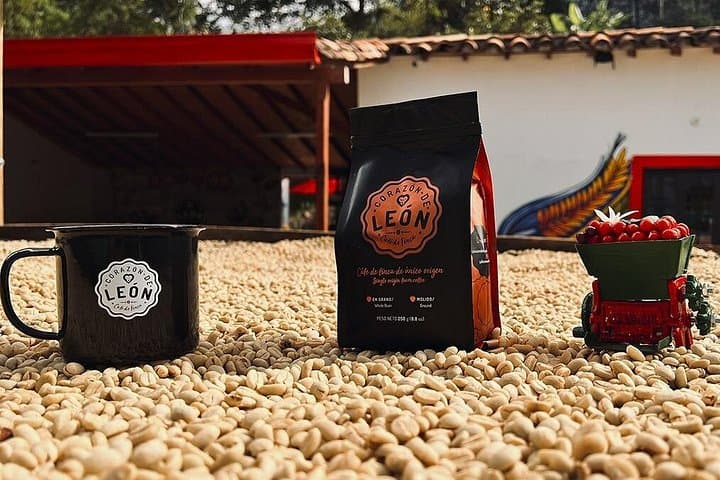 Medellín premium coffee tour — taste colombian coffee culture photo 2