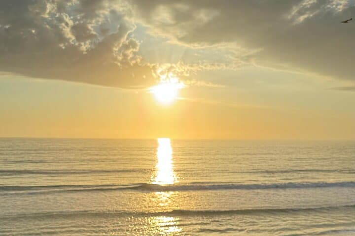 Sandwich Harbour Sunset 4x4: Dunes, Flamingos & Coastal Views photo 5