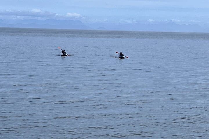 Keogh River Bear Kayaking — Paddle with Black Bears on Vancouver Island photo 3