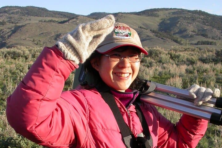 Private Wolf and Bear Watching in Yellowstone’s Lamar Valley photo 3