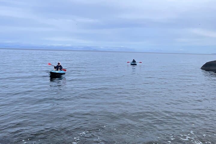 Keogh River Bear Kayaking — Paddle with Black Bears on Vancouver Island photo 4