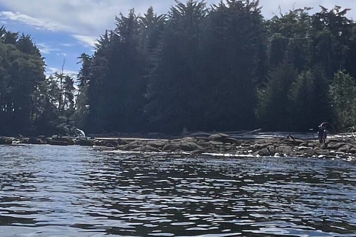 Keogh River Bear Kayaking — Paddle with Black Bears on Vancouver Island photo 5