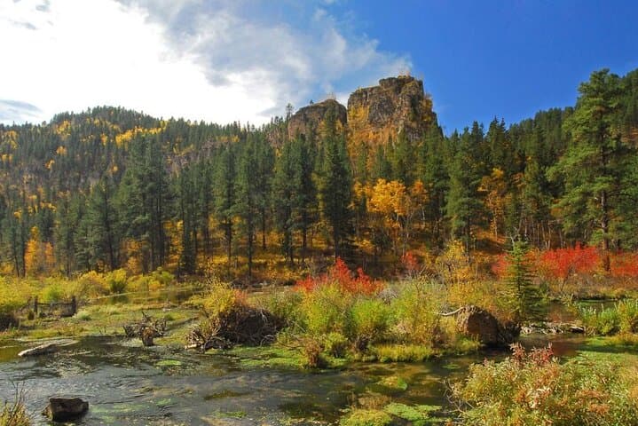 Northern Black Hills Day Tour: Deadwood, Lead & Spearfish Canyon photo 1