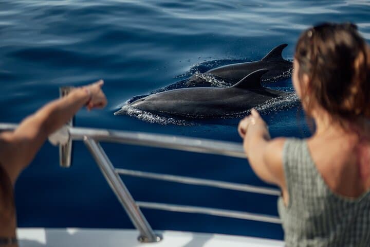Lanai Snorkel and Dolphin Quest from Maui — Small-Boat Snorkel Tour