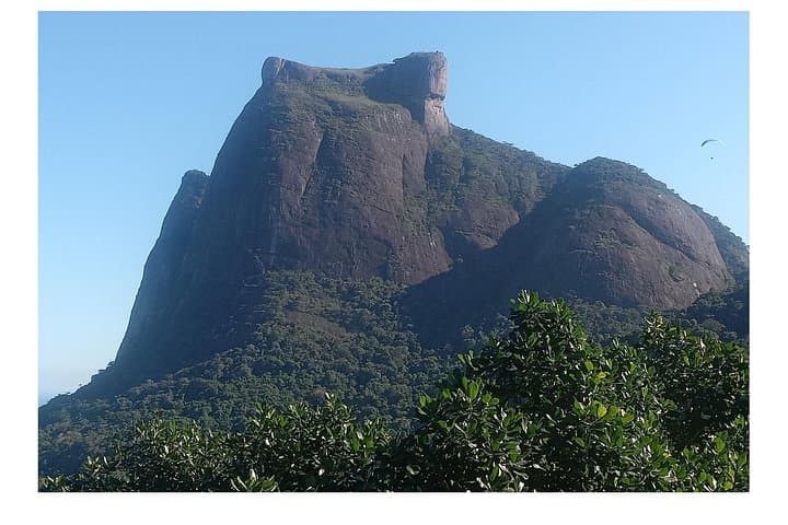 Tijuca Forest Guided Walk: Taunay Waterfall, Mayrink Chapel & Urban Jungle Trails photo 2