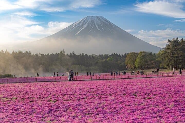 Private Mt Fuji Day Tour from Tokyo with Local Japanese Guide photo 4