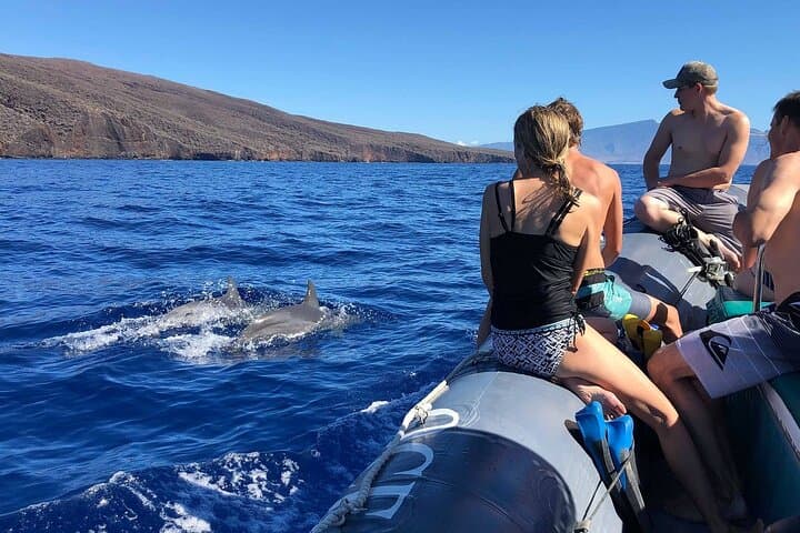 Eye-Level Whale and Dolphin Raft Tour — Lahaina Eco-Rafting photo 4