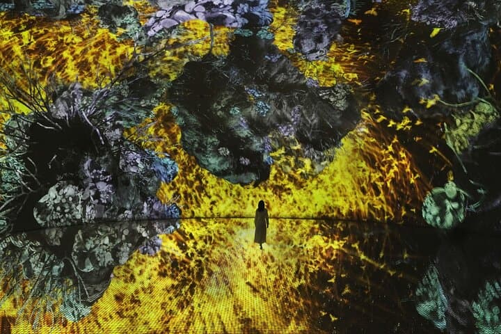 teamLab Phenomena Abu Dhabi: Interactive Digital Art on Saadiyat Island photo 6