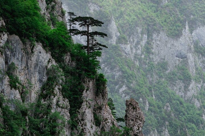 Durmitor Glacier Lakes & Canyons: A Full‑Day Northern Montenegro Scenic Tour photo 3