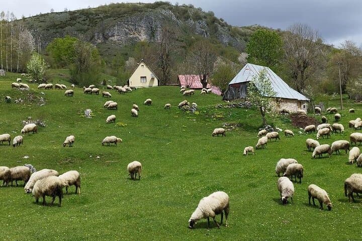 Durmitor Glacier Lakes & Canyons: A Full‑Day Northern Montenegro Scenic Tour photo 6