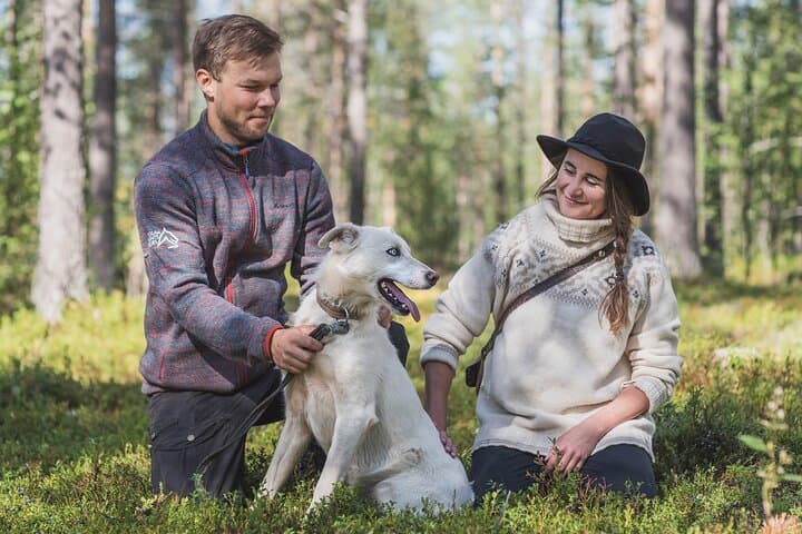 Hiking with a Husky in Lapland — Forest Walks with Sled-Dog Companions photo 2