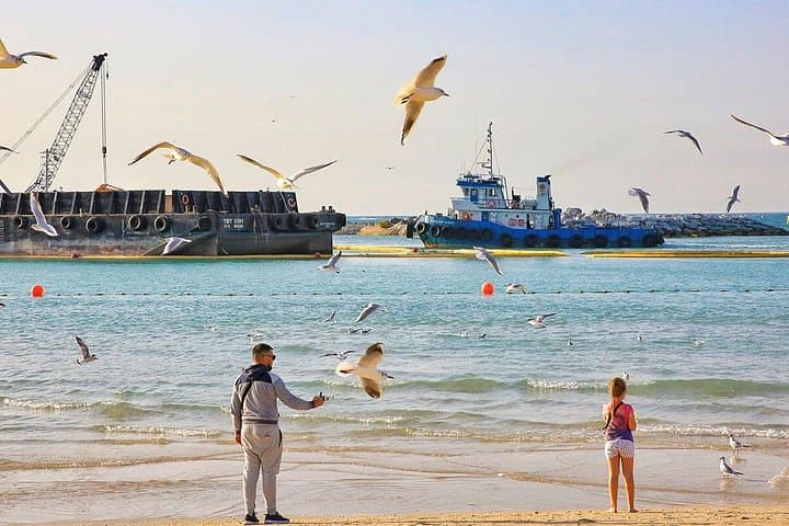 Private 5-Day Dubai Family Tour: Beach, Desert & Dhow Cruise photo 3