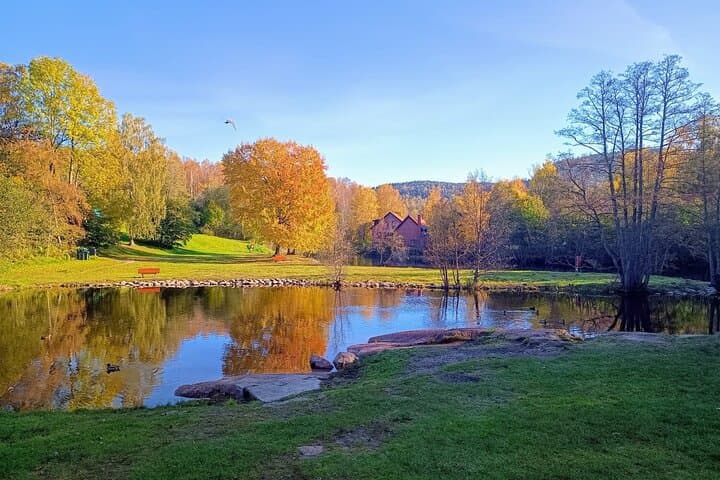 Akerselva River Walk: Private Urban Nature & Food Tour in Oslo photo 2
