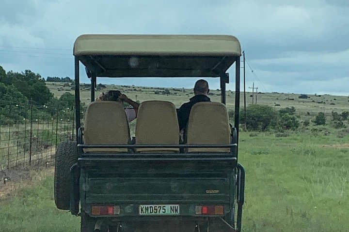 48-Hour Kruger National Park Safari — Big Five Game Drives & Lodge Stay photo 1