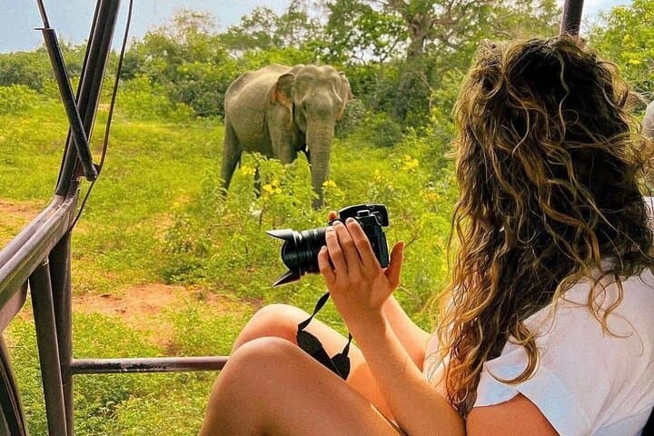 Mirissa to Arugam Bay: Yala Safari and Coastal Shuttle photo 3