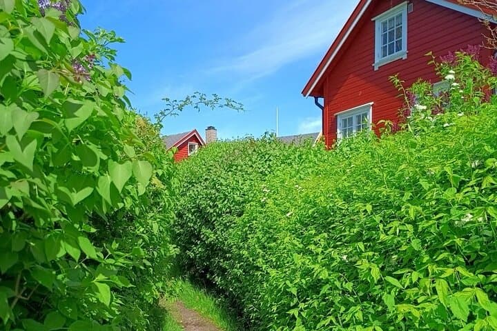 Private Oslofjord Island Hopping: Hovedøya & Nakholmen Day Tour from Oslo photo 2