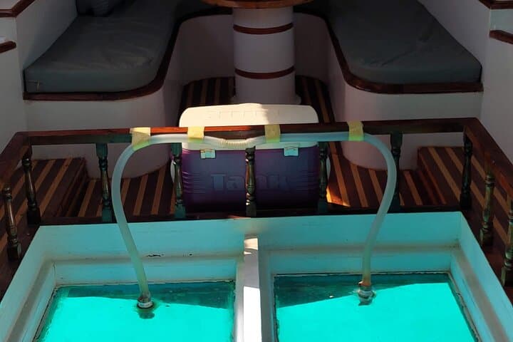 Private Glass-Bottom Boat Snorkeling to Paradise Island — 4-Hour Family Trip from Hurghada photo 4