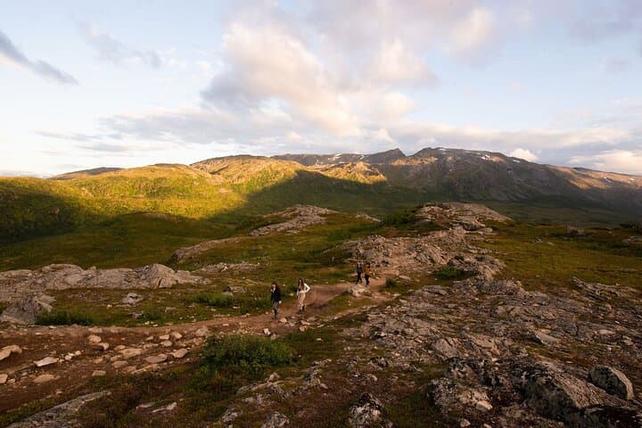 Express Summer Day Hike from Tromsø — Kvaløya Fjord Views & Arctic Wildlife photo 3