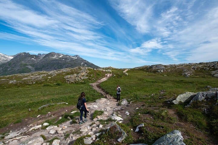 Express Summer Day Hike from Tromsø — Kvaløya Fjord Views & Arctic Wildlife photo 1