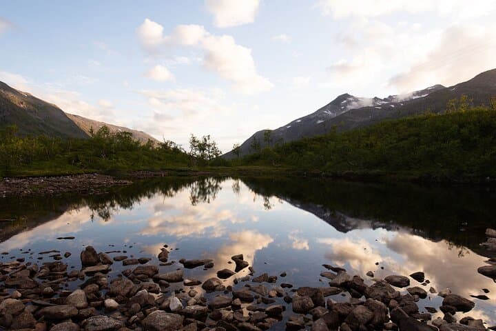 Express Summer Day Hike from Tromsø — Kvaløya Fjord Views & Arctic Wildlife photo 4