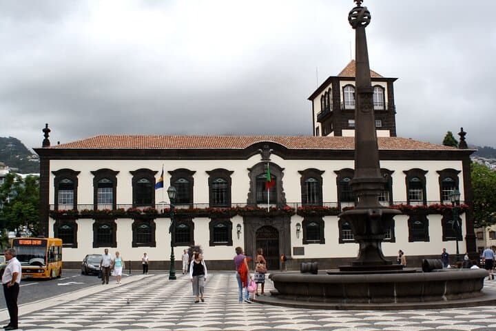 Madeira In a Day: 8-Hour Scenic Circuit from Funchal