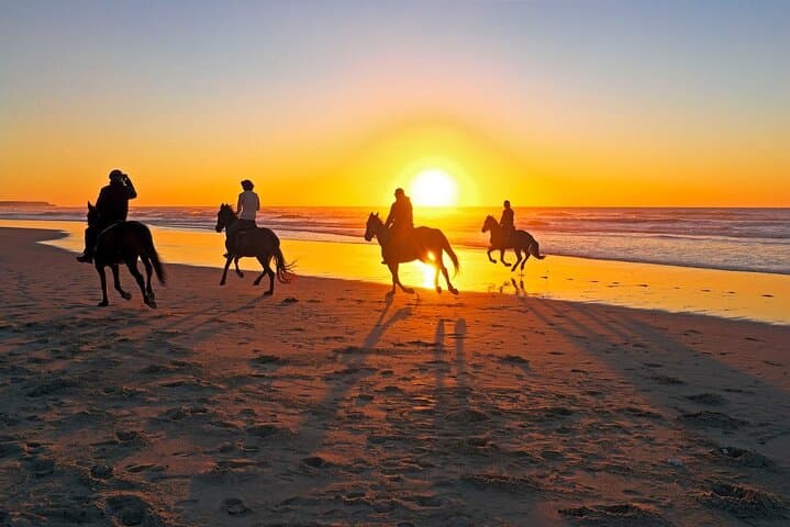 Horseback Riding in Hurghada — Beach, Desert & Swim with Horses on the Red Sea photo 3
