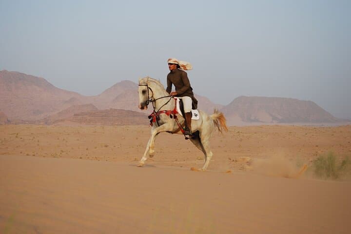 Arabian Horseback Ride on Hurghada's Desert & Red Sea Shoreline photo 2