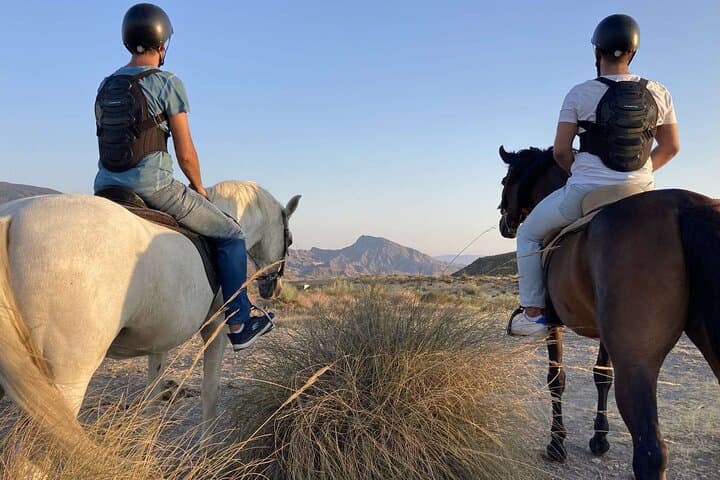 Arabian Horseback Ride on Hurghada's Desert & Red Sea Shoreline photo 3