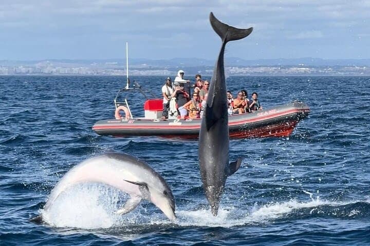 Albufeira Dolphins and Benagil Caves Boat Tour — 2.5-Hour Coastal Cruise photo 3
