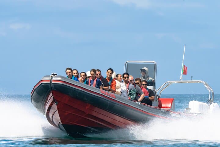 Albufeira Dolphins and Benagil Caves Boat Tour — 2.5-Hour Coastal Cruise photo 2