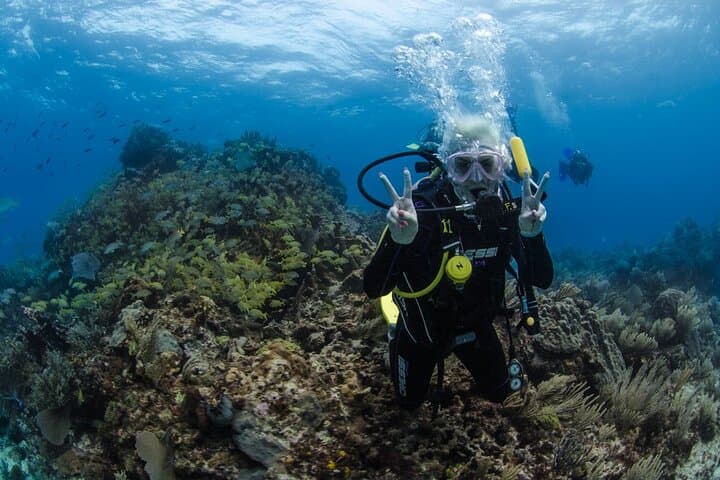 SSI Open Water Course on Isla Mujeres — 3-Day Scuba Certification & 4 Open-Water Dives