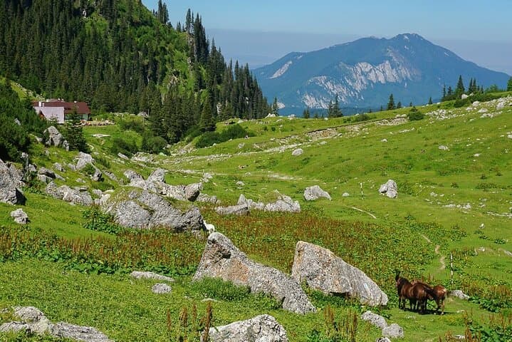 Guided One-Night Hike to Mălăiești Hut from Bucharest — Bucegi Mountains Escape photo 2