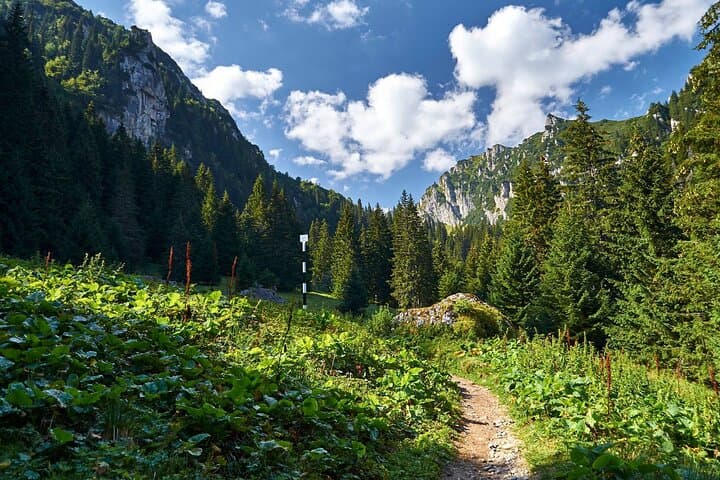 Guided One-Night Hike to Mălăiești Hut from Bucharest — Bucegi Mountains Escape photo 4