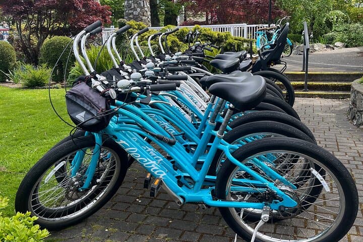 Victoria Bike Tour: Craigdarroch Castle, Chinatown & Inner Harbour Cycling photo 4