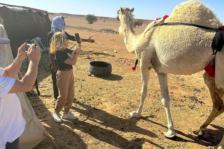 Premier Private Edge of the World Sunrise & Sunset Tour from Riyadh photo 4