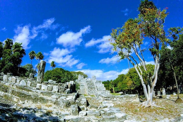 Cancun City & El Meco Ruins Tour with Playa Delfines Visit photo 4