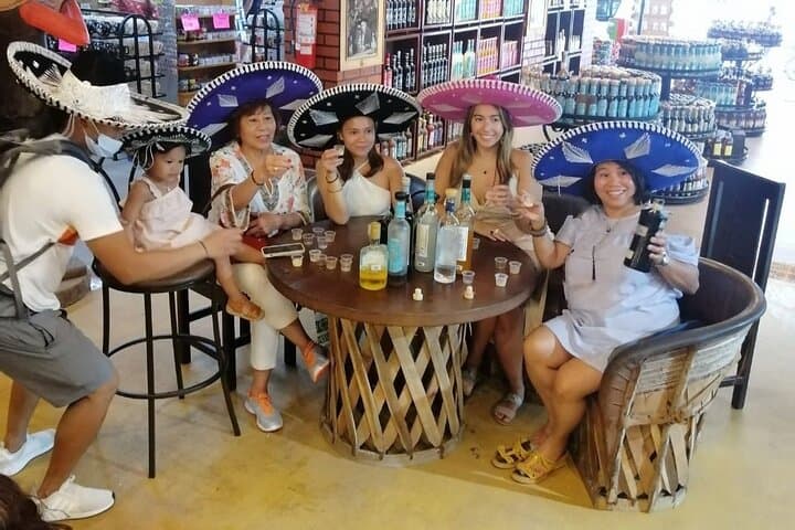 Cancun City & El Meco Ruins Tour with Playa Delfines Visit photo 5