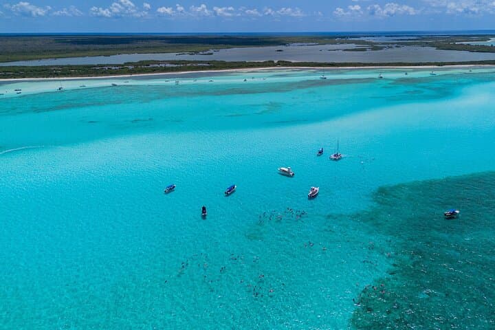 Cozumel El Cielo Snorkel & KUZÁ Beach Day Pass — Reefs, Sandbar & All-Inclusive Beach Club photo 5