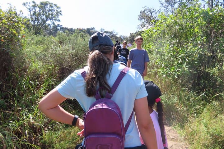 3-Day Kruger National Park Safari & Panorama Route from Johannesburg photo 4