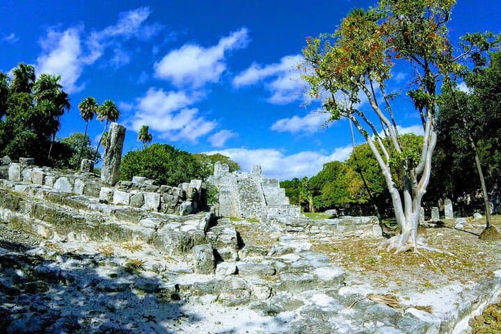 Cancun City Tour: El Meco Ruins, Plaza 28 & Playa Delfines in a Day photo 5