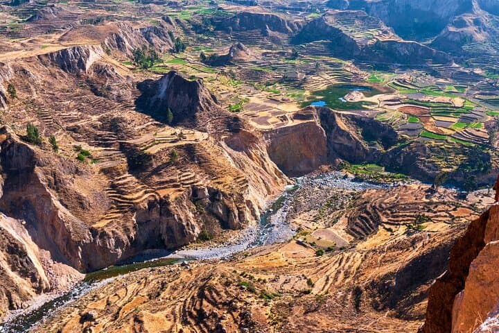 Colca Canyon Full-Day Adventure from Arequipa — Condors, Hot Springs & Ancient Terraces photo 6