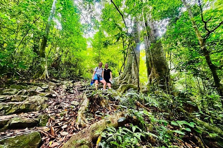 Full-Day Jungle Trek and Lan Ha Bay Kayak in Cat Ba National Park photo 1